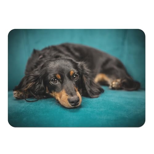 Set de table corgi en liège grand format lot de 4 napperons souples pour repas - 2