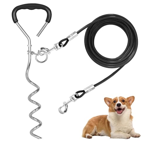 Ancrage au sol pour chien - Piquet de fixation pour grands chiens - Robuste - Avec laisse de 3 m - Kit de sécurité inoxydable pour chiens de petite à...