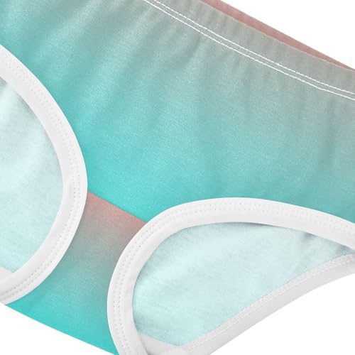 Joisal Coral Pink Cyan Gradient Toddlers Underwear Floral 2t Cotton Panties for Girl Cartoon Briefs Undies Kids4