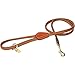 Digby & Fox Rolled Leather Dog Lead (Tan)