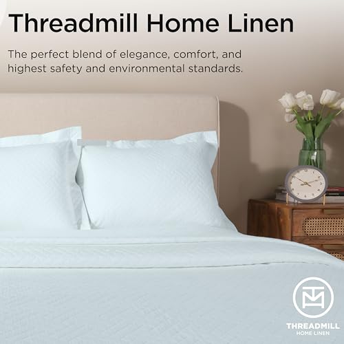 Threadmill Luxury Cotton Blankets for Twin Size Bed | All-Season 100% Cotton Twin Blanket for Bed | Criss Cross Jacquard Lightweight, Soft & Cozy Coverlet, 350GSM, 68 x 90 inches | Light Blue