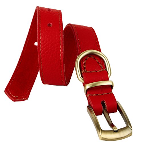 Tellpet Real Leather Dog Collar, Red, Medium/Large #TOP2