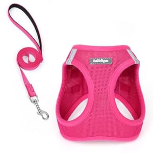 rabbitgoo Dog Harness Small Sized and Leash Set, Step in Soft Light Puppy Vest, Breathable Mesh Pet Harness, Reflective for Safe Easy Walking, Rose Red S