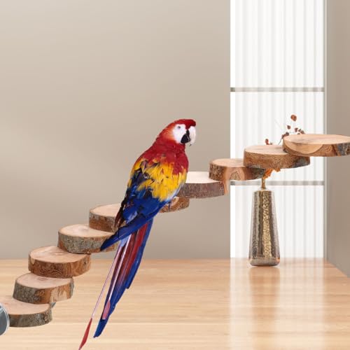 Balacoo Parrot Ladder, Bird Platform Perch, Hamster Platform, Parakeet Cage Toy, Bird Cage Natural Wood Ladder, Standing Perch (10 Steps) - Thumbnail 7
