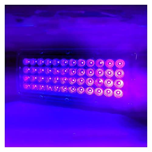 Mining UV-Lichtbox 500W 365nm UV-Härtungslampe
