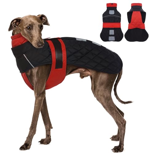 MORVIGIVE Whippet Dog Coat - Red, Small - Adjustable Bands Dog Winter Coat with Harness Hole, Water Resistant Snow Jacket for Greyhounds