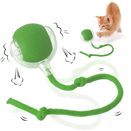 Tomedeks Giochi per gatti in casa, Giochi gatto, Lancia palline per cani, Giochi interattivi per gatti, Dotato di USB ricaricabile, 3 modalità di funzionamento (Verde)
