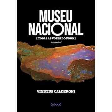Capa do livro Museu nacional: [Todas as vozes do fogo]
