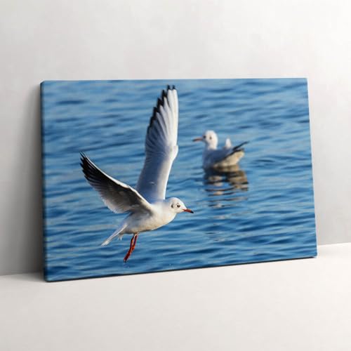 Peinture murale de Mouettes à Gdynia : un tableau photo sur toile 60x40cm pour votre salon