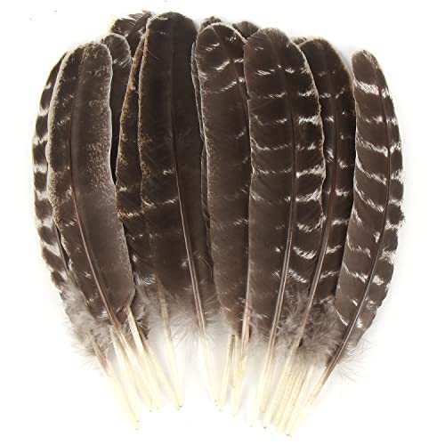 CCINEE 15pcs Natural Turkey Feather 10-11 Inches Wild Turkey Feathers for Craft Costume Bridesmaid Corsage Wreath and Home Decoration