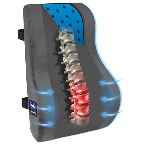 Sealy Lumbar Support Pillow