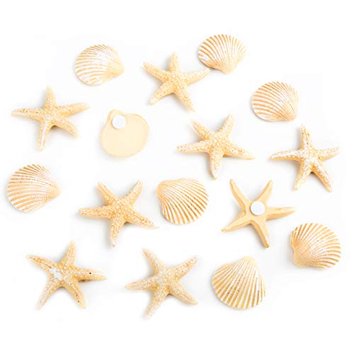 Streudeko Muscheln & Seestern, 16 Stück: Maritime Deko Mini, Tischdeko Flach, Dekoration Wohnzimmer & Badezimmer Maritim, Maritimdeko Klein Geschenke, Sommer, Strand & Meer, Mit Klebepunkt, 3 - 4 cm Streudeko Muscheln & Seestern, 16 Stück: Maritime Deko Mini, Tischdeko Flach, Dekoration Wohnzimmer & Badezimmer Maritim, Maritimdeko Klein Geschenke, Sommer, Strand & Meer, Mit Klebepunkt, 3 - 4 cm