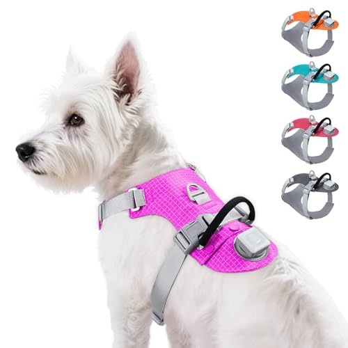Taglory LED Dog Harness with AirTag Holder, No Pull Light Up Dog Vest for Night Walking, USB Rechargeable Pet Safety Harness with 2 Metal Clips, Adjustable Soft Vest for Small Dogs (Rose Pin