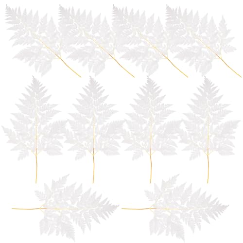 NUOBESTY Manojo de Helechos Secos Blancos 10 Piezas para Decoración del Hogar Arreglo Floral DIY Adornos de Plantas Naturales para Manualidades y Centros de Mesa