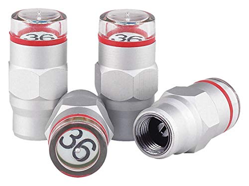 Victor 22-5-00703-8 36 PSI Tire Pressure Monitoring Valve Cap