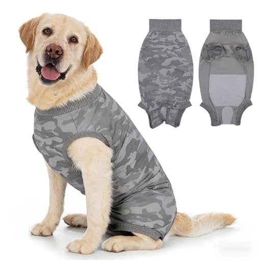 InfiniZer Hundebody Nach Op Medizinischer Body für Hunde Kastration Hündin Rüde Operationsbody Hund Body Nach Op Body Hund Shirt Leckschutz Wundschutzanzug für Hunde Einteiler Schlafanzug (Grau, L)