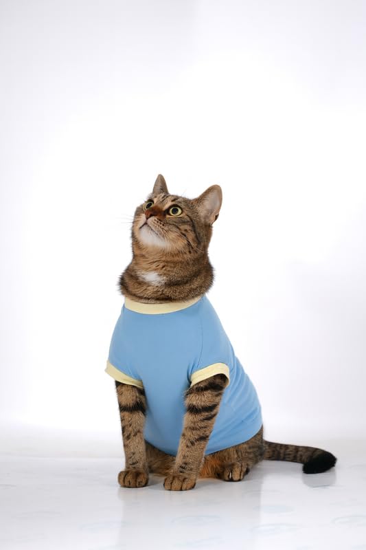Image of Thunder Tails Printed Cat T-Shirt for Small to Large Cats & Kittens | Lightweight Breathable Cotton Pet Apparel | Cute & Stylish, Comfortable Round Neck Cat Clothes (L, Baby Blue)