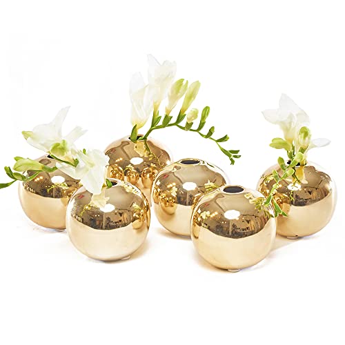 Chive - Set of 6 JoJo Small 3