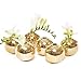 Chive - Set of 6 JoJo Small 3" Sphere, Round Ceramic Flower Vase, Decorative Modern Floral Vase for Home Decor Living Room Centerpieces and Events, Cute Bud Vase (Gold)
