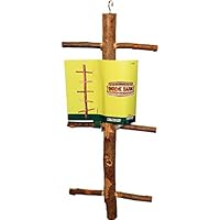 Algopix Similar Product 2 - Ware Manufacturing Twisted Ladder Lg.