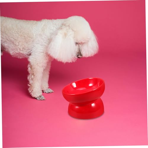 Gamelle surélevée chien chiot céramique rouge inclinée - 6