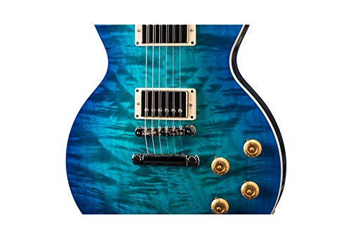 Amazon | Gibson Goryo Yuto Les Paul Standard アルゴナビス 五稜結人