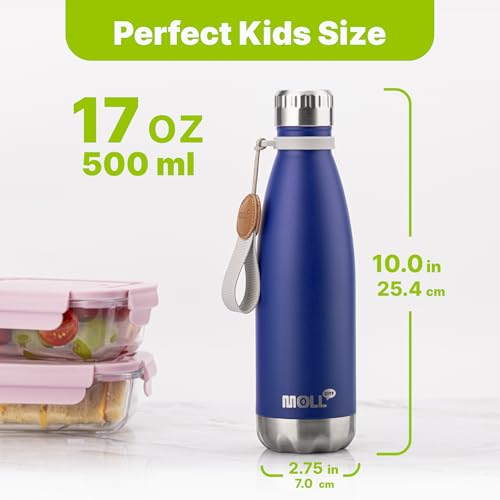 Image of 17 oz Insulated Stainless Steel Water Bottles for Sports, BPA-Free