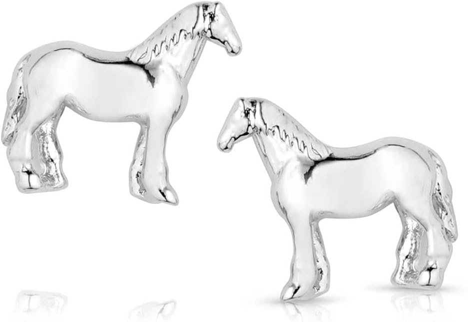 Montana Silversmiths Western Lifestyle Post/Stud Earrings