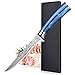 BILLION DUO 15 cm Cuchillo de Filetear, Cuchillo Profesional de Deshuesar, Cuchillo de Salmón, Cuchillo de Pescado con Mango de Resina Azul, para Cocina y Restaurante, Exquisita caja de Regalo