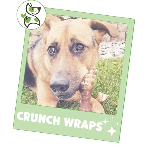 Nature Gnaws PR00474 Beef Trachea Crunch Wraps For Dogs (3 Count) - Long Lasting Natural Beef Jerky Dog Chew Bones thumb #5