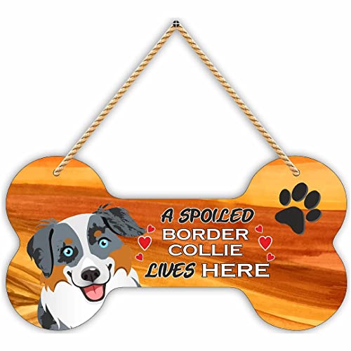 Image of CVANU Laser Cut MDF Wooden Funny Dog Sign Plaque Bone Design A Spoiled Border Collie Lives Here Animal Love Sign Board, Name Plate for Dog House, Size(10x5) inch
