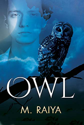Owl view 2