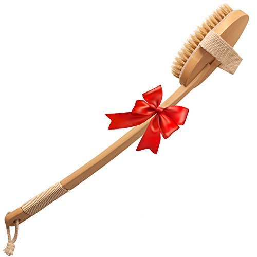 Buy Best Bath Brush Long Handle + Natural Bristles presented by