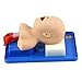 Tracheal Intubation Training Simulator Model Advanced Infant Tracheal Intubation Teach Training Nurse Lab Airway Management Trainer Intubation Manikin