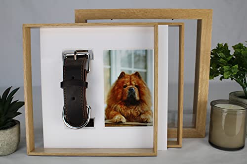 Back view of the Pet Collar Display Case