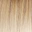 GL613-88SS Shaded Champagne Blonde