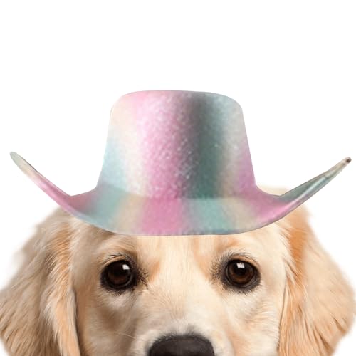 Gupcaqosjw ybgpXq,\ȖʔwbhMA - ^LpߑJE{[Cnbg - ʐ^ERXvEjCxgAqEqLpAEETCY