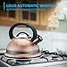 Alpine Cuisine Stovetop Tea Kettle, 2.95-Quart, Copper with Black Color, Modern Design, Premium Stainless Steel, Loud Whistling, Heat-Resistant Bakelite Handle, Induction Compatible, 2.8 Liters