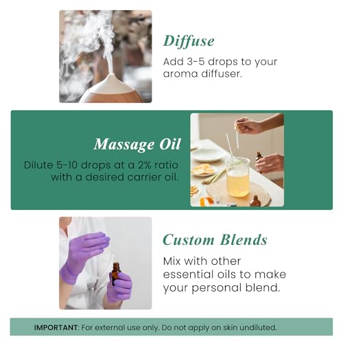 Handcraft Blends Eucalyptus Essential Oil - Huge 118 ml - 100% Pure and Natural - Premium Grade with Glass Dropper by Handcraft Blends - Image 2