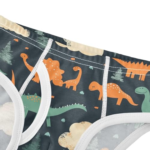 Wusikd Dinosaurs Clouds Boys' Underwear Cotton Trees Black Boys Briefs Soft Toddler Underwear 2T4