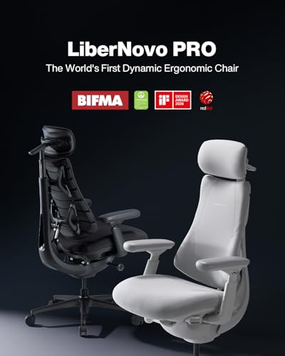 Steelcase Leap V2 chair