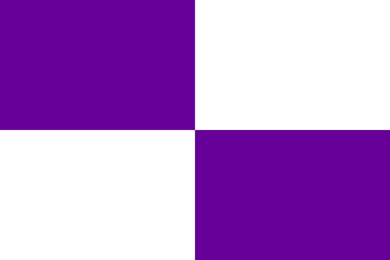 Drapeau Large 23Flag Quarterly PW pour pavoiser facilement sans marque