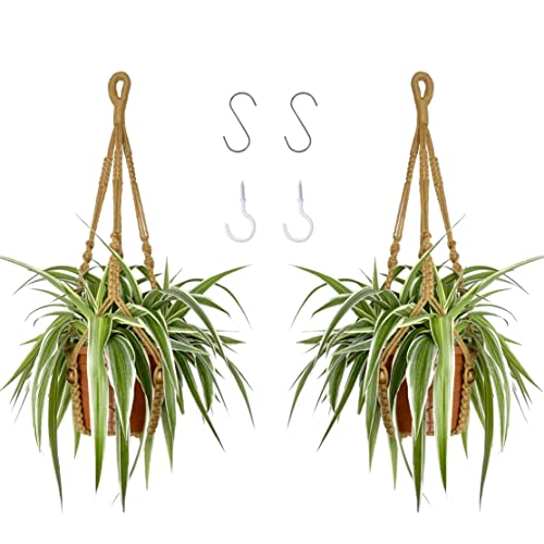 Camutkry Macrame Plant Hanger 23 Inch 2 Pack Indoor For 4 To 6 Inch Plant Pots Brown Holder No Tassels Boho Home Decor #TOP28