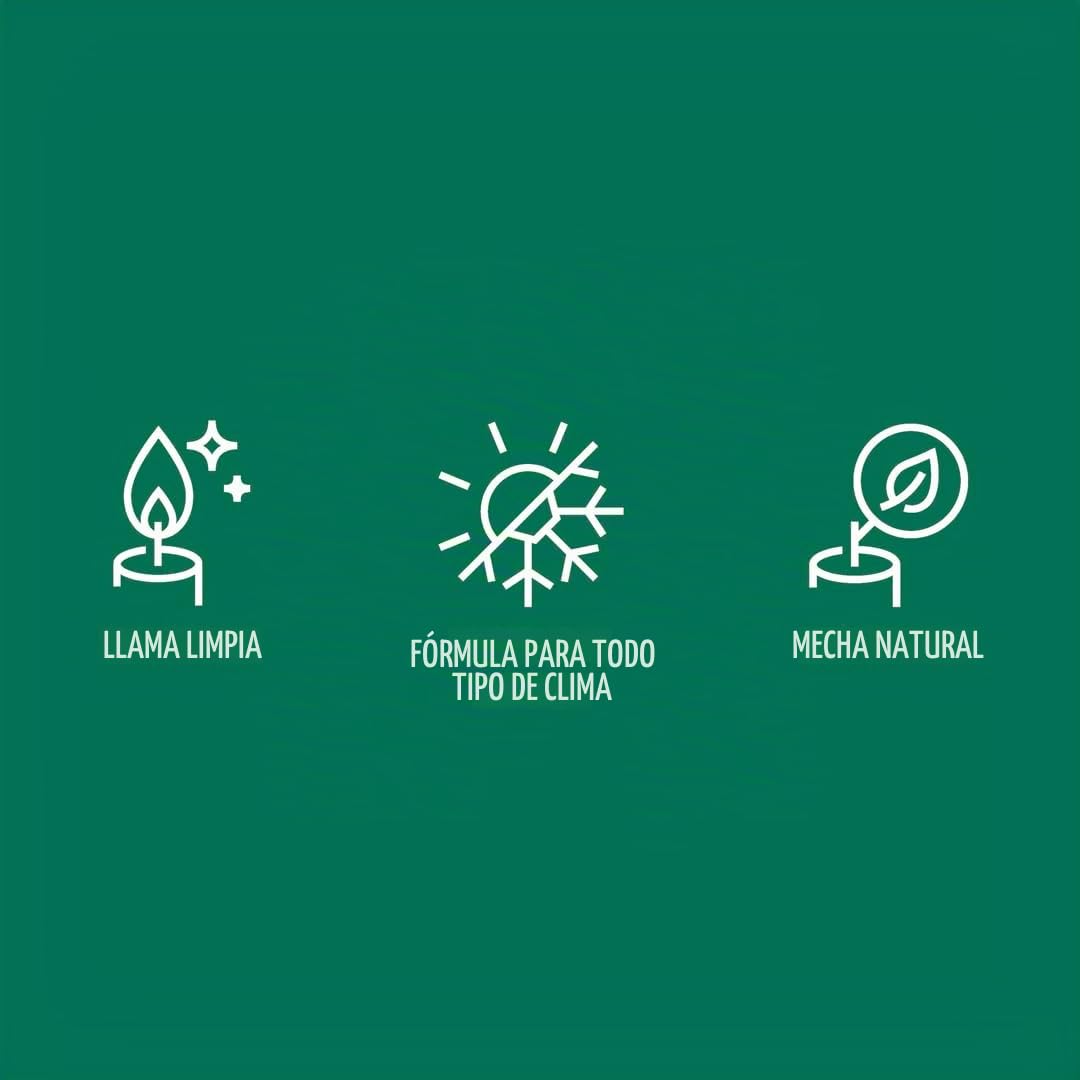 Bolsius - Luz para tumba – blanco – 24 unidades – Duración de combustión 4 días – Vela de luto y memorial velas – Quema limpia – Sin aceite de palma