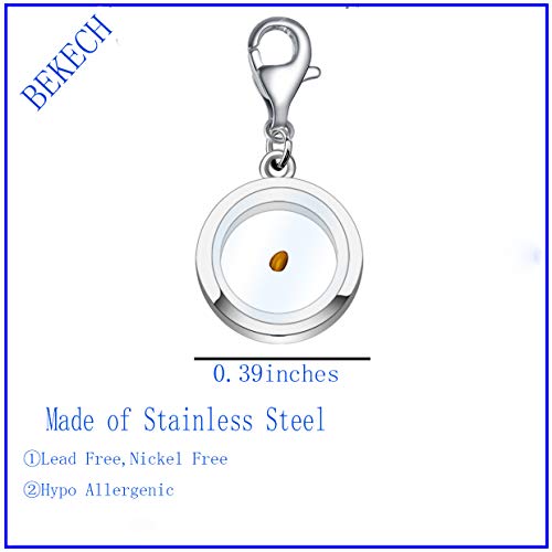 BEKECH Faith Mustard Seed Charm Zipper Pull Clip On for Religious Men Women2