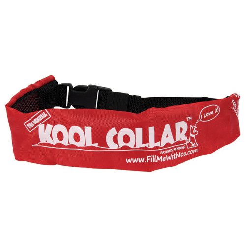 kool collars