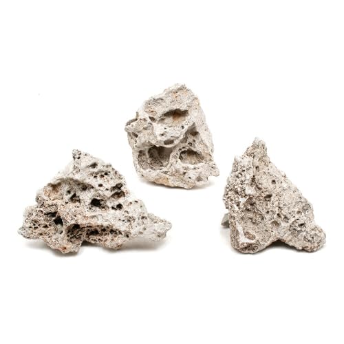 `󂨔C Ì lTCYiPR`PWj R ANAE CAEgf