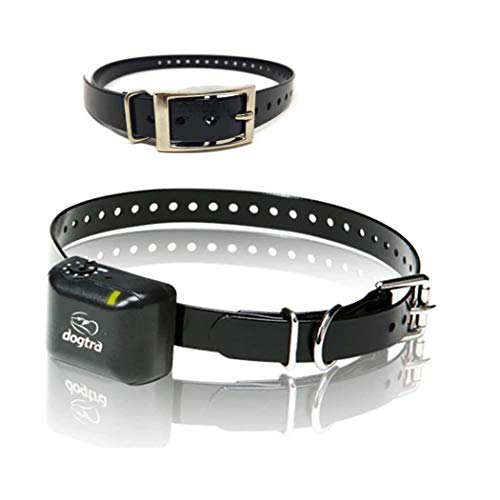 Dogtra YS-300 Yapper Stopper No-bark Collar for Small to Medium Breeds with one Free Additional Strap 2 in All