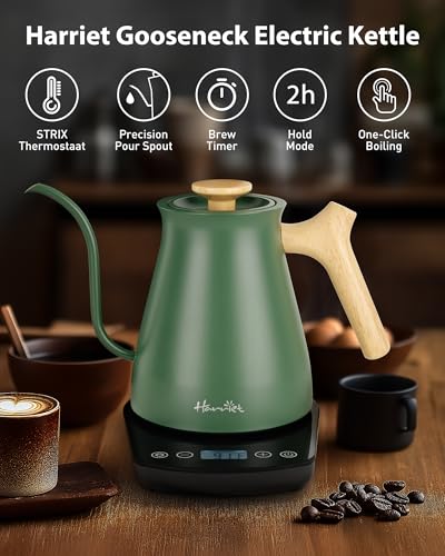 Electric Kettle with Temperature Control