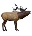 Rinehart 1/3 Scale Woodland Elk Target
